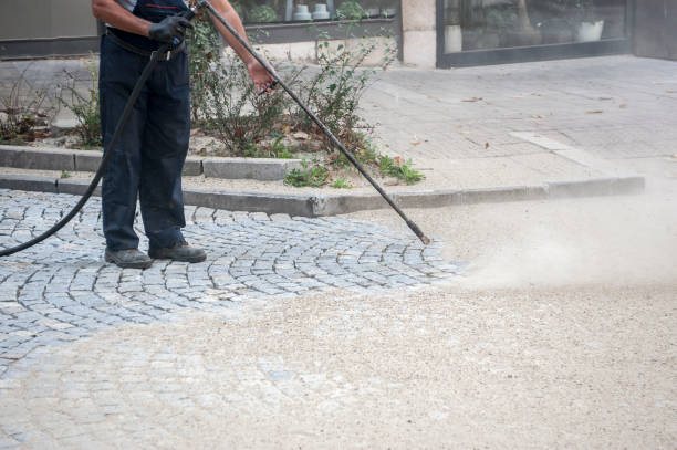 Animal Enclosure Cleaning in South River, NJ
